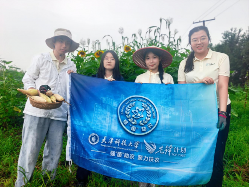汗洒唐山陡沽村，青春建功三下乡：天津科技