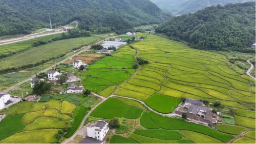 保护地社区生态补偿机制：三方协议与闭环设计