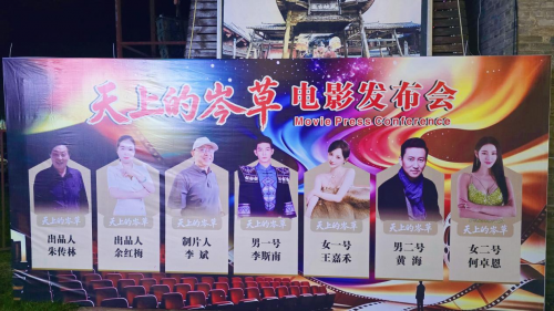 光影赋能文旅 影旅融合发展——院线电影《天上的岑草》新闻发布会在武汉新洲凤娃古寨举办