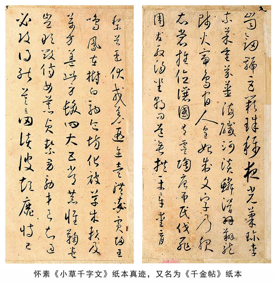 怀素《小草千字文》纸本真迹发现六周年，在学界影响深远！