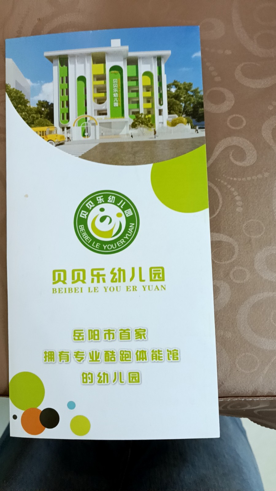 新挑战与旧困境：岳阳市岳阳楼区贝贝乐艺术学校与幼儿园之争