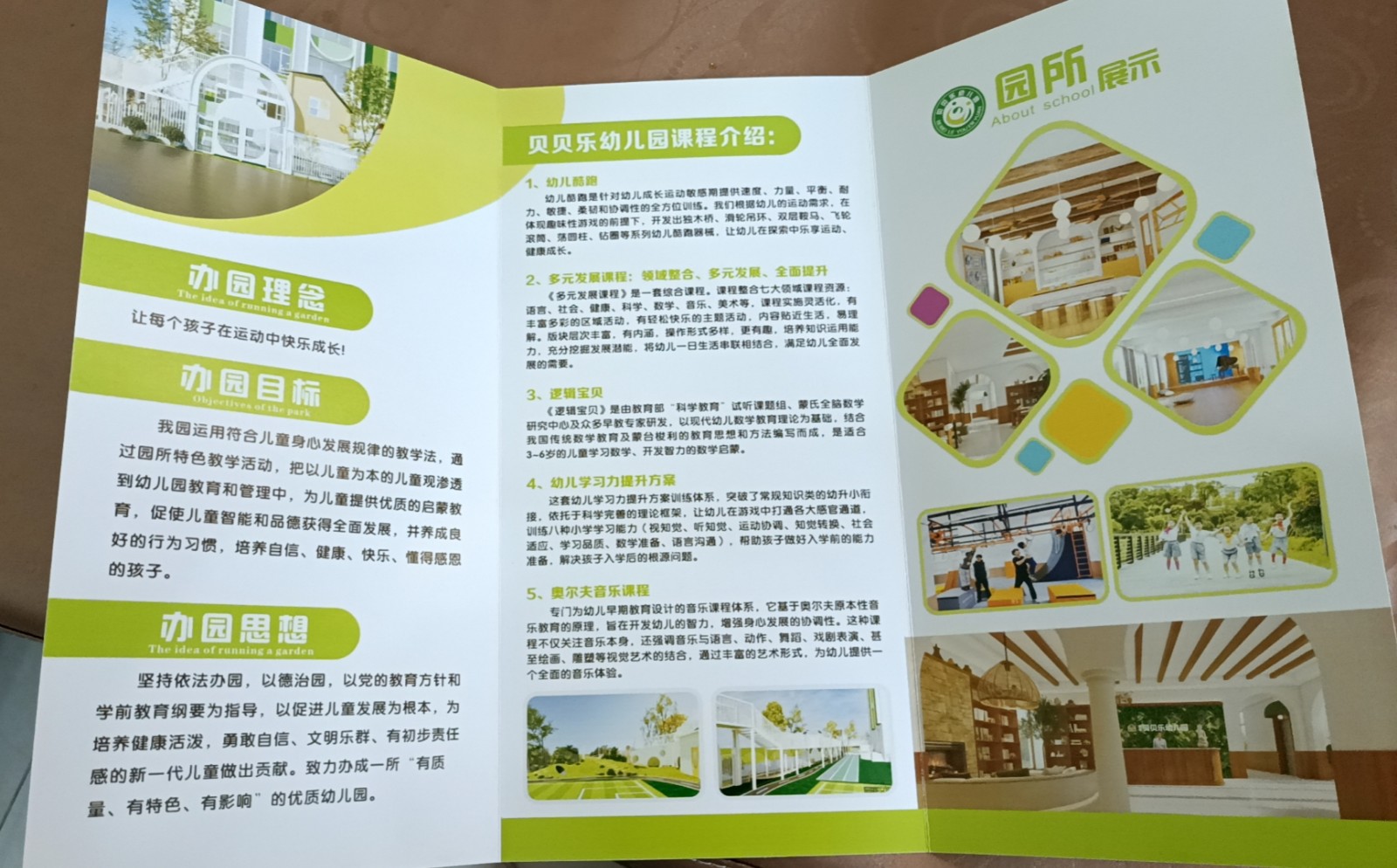 新挑战与旧困境：岳阳市岳阳楼区贝贝乐艺术学校与幼儿园之争