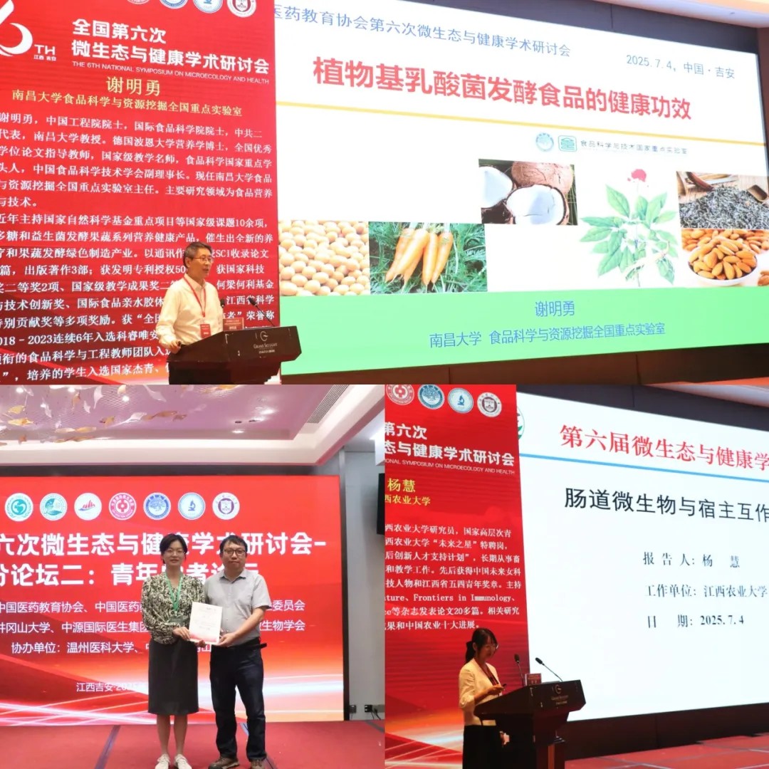 https://img2.danews.cc/upload/image/jpeg/20250706/9de6db9e718b7a622a26f1f804776cd9.jpg