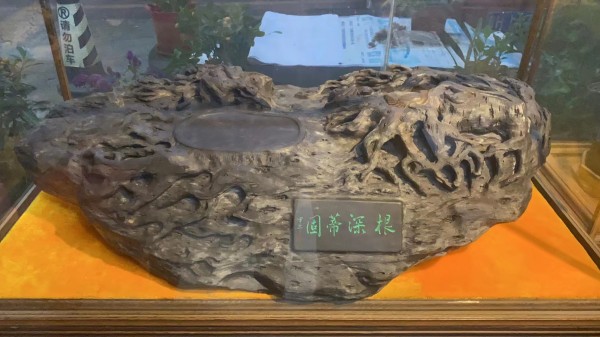 《临古开新·共创辉煌》专访年度优秀人物·谢荣