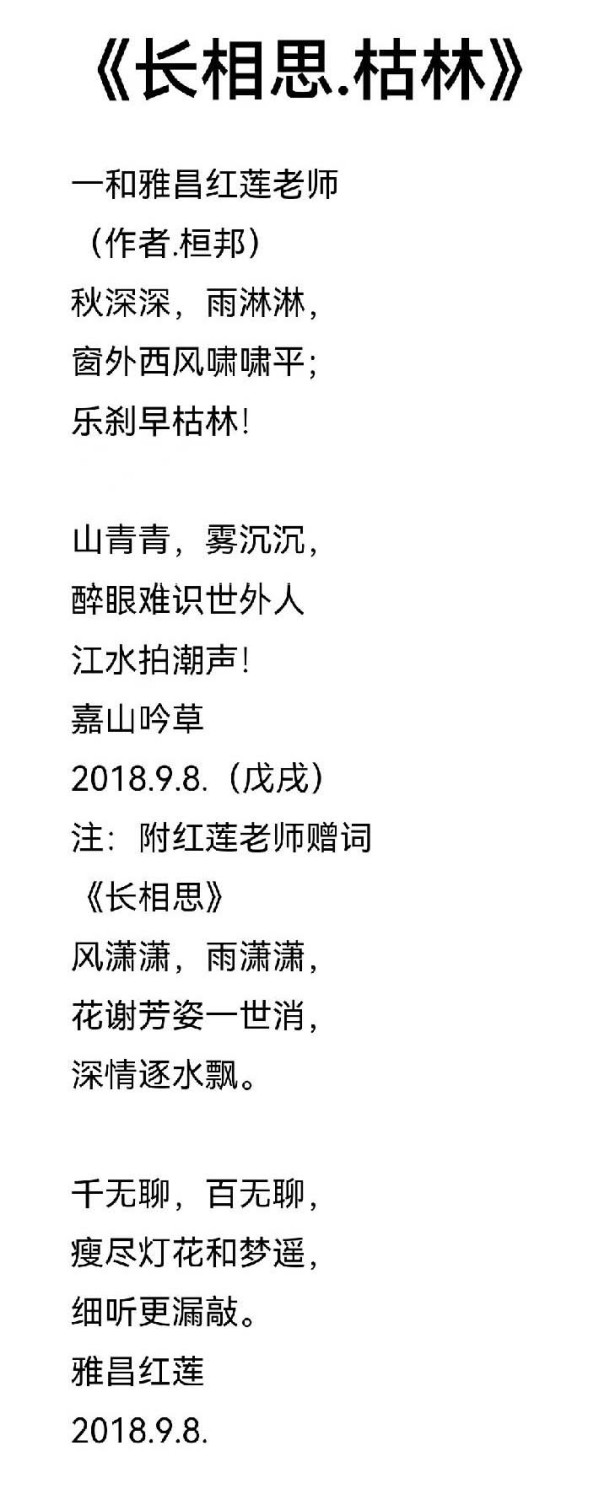 《国际视野》国际形象大使·龚团邦