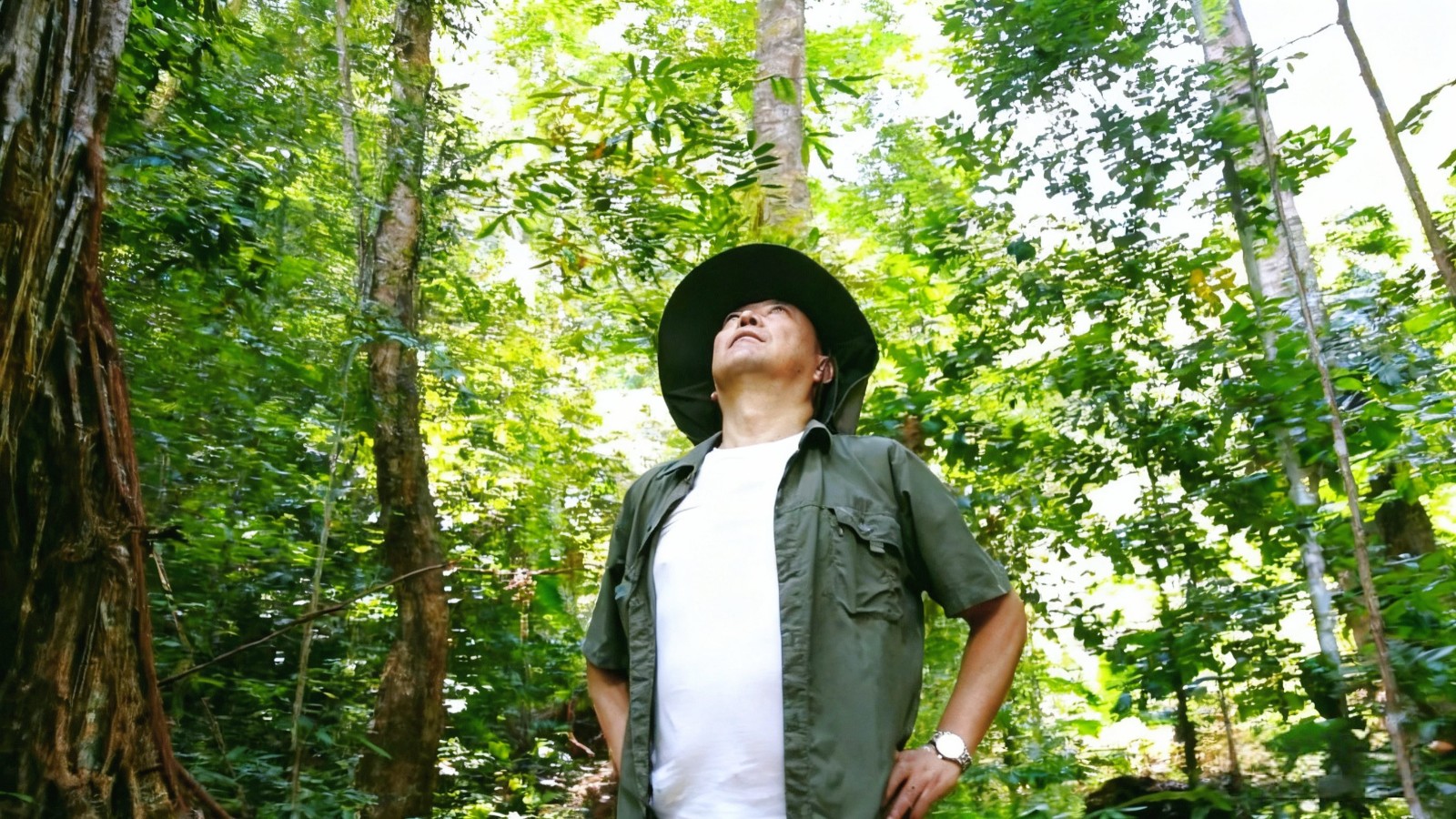 将热带雨林“搬”进工厂：舒霖与雨林共生，守护品牌未来