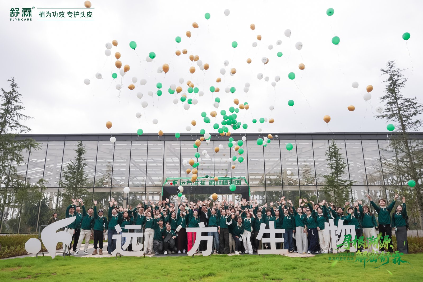 将热带雨林“搬”进工厂：舒霖与雨林共生，守护品牌未来