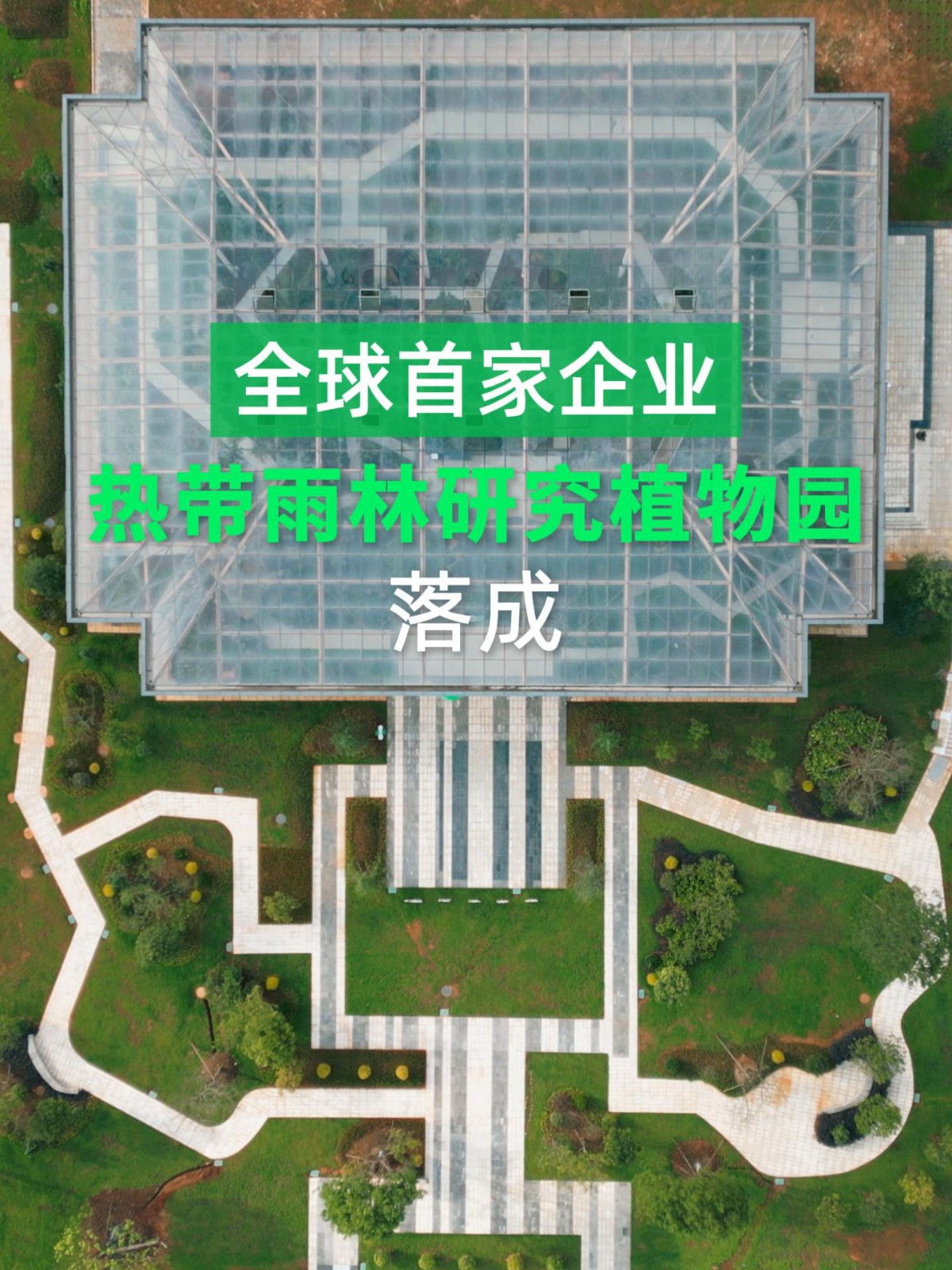 将热带雨林“搬”进工厂：舒霖与雨林共生，守护品牌未来