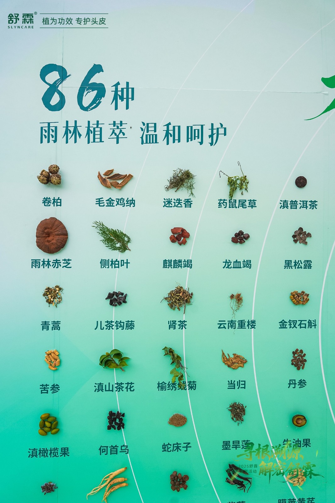 将热带雨林“搬”进工厂：舒霖与雨林共生，守护品牌未来