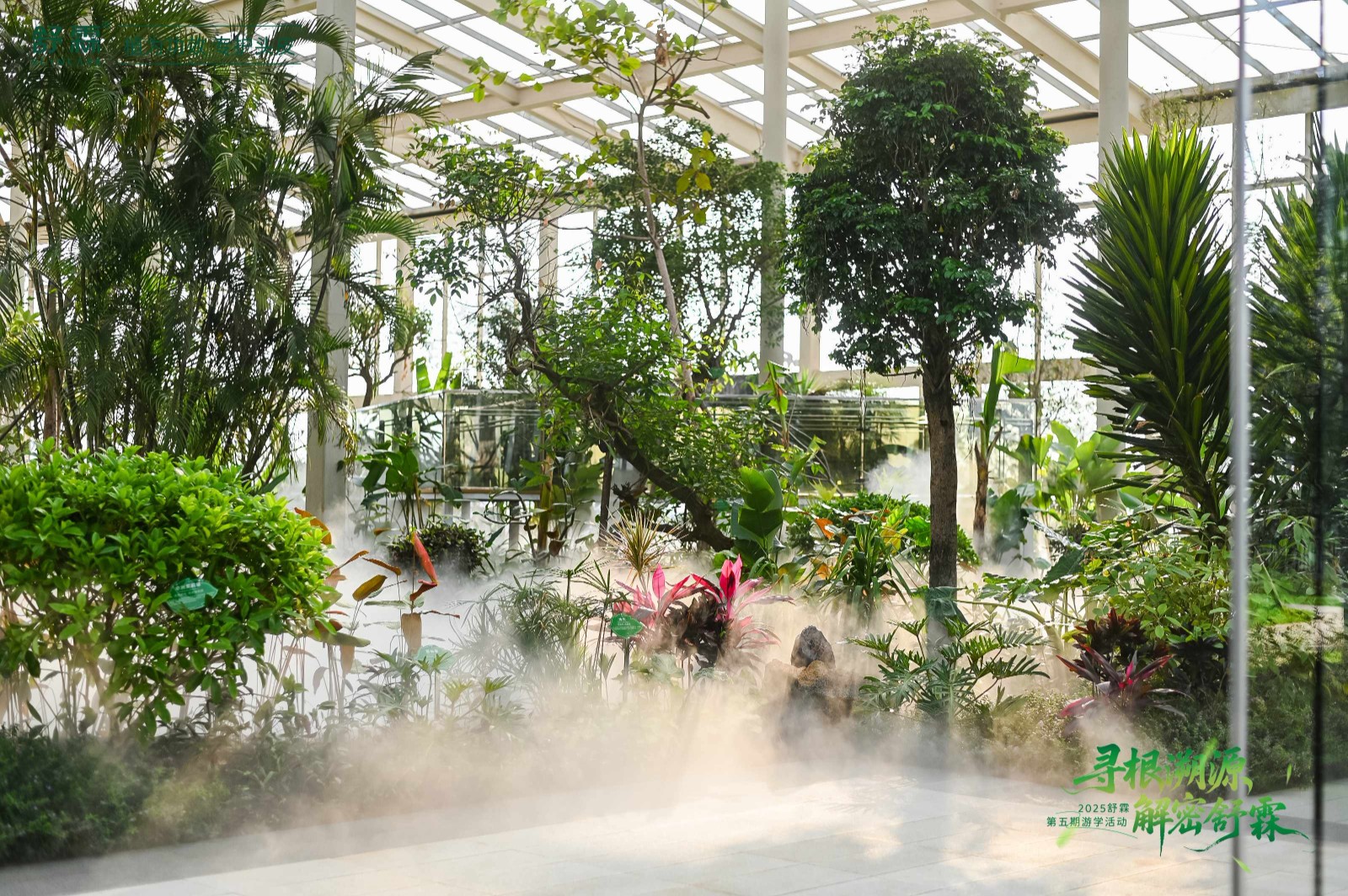 将热带雨林“搬”进工厂：舒霖与雨林共生，守护品牌未来