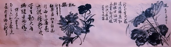 �����������ᡷ�����ر��Ƽ��������⽨��