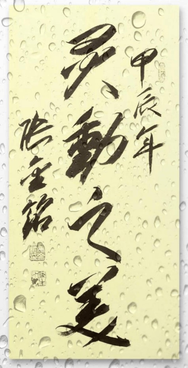 《开局十五五、奋斗正当时》超越时流艺术家张金铭