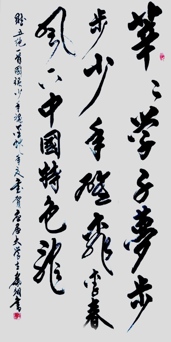 《开局十五五奋斗正当时》超越时流艺术家——秦翥翊