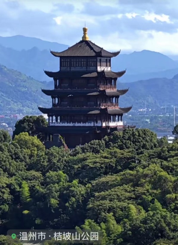 ���ԹŽ����� �������ᡷ���������ս��²���