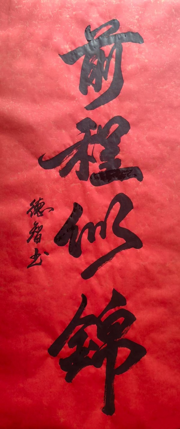 《开局之年展风采》当代书法领军人物德智老师