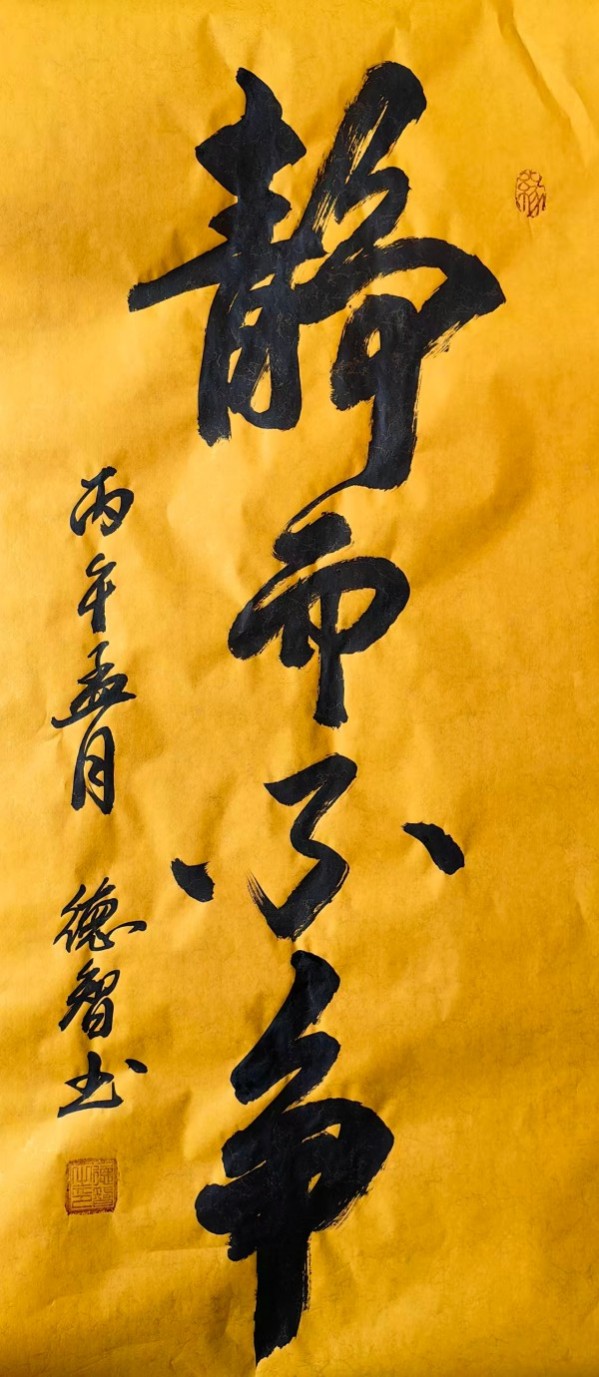 《开局之年展风采》当代书法领军人物德智老师