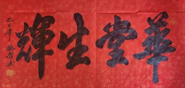 《开局之年展风采》当代书法领军人物德智老师