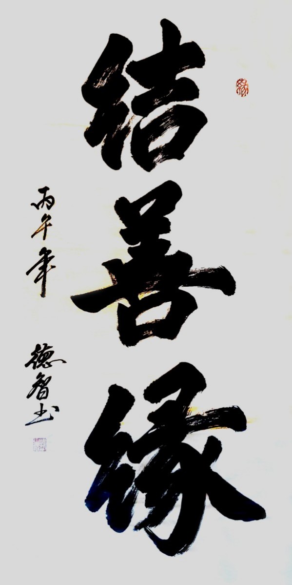 《开局之年展风采》当代书法领军人物德智老师