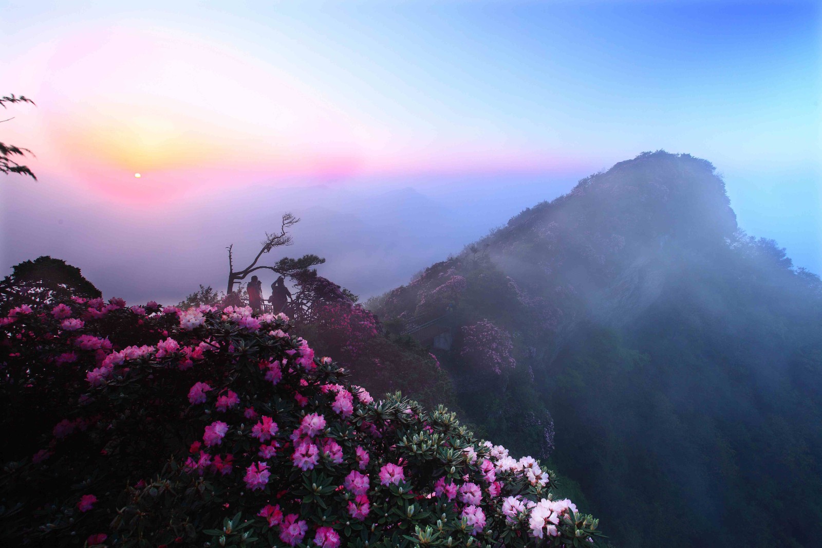 “西南F4”集合！光雾山面向云贵川渝推出“折耳根联盟”免票优惠