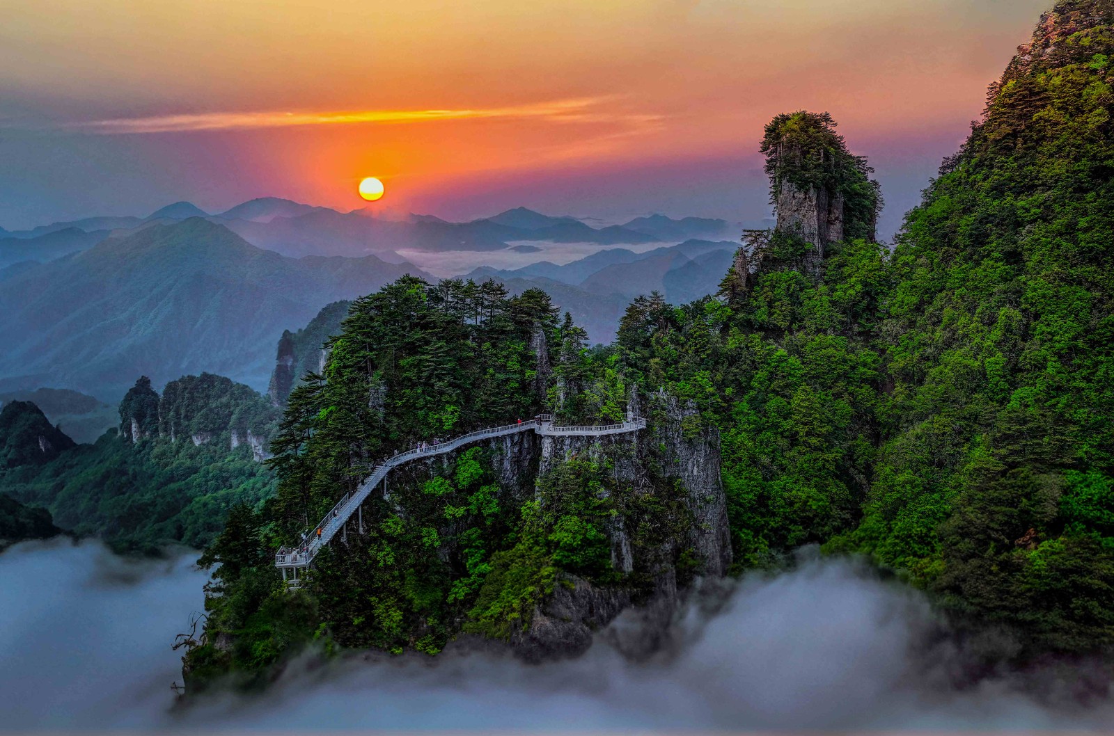 “西南F4”集合！光雾山面向云贵川渝推出“折耳根联盟”免票优惠