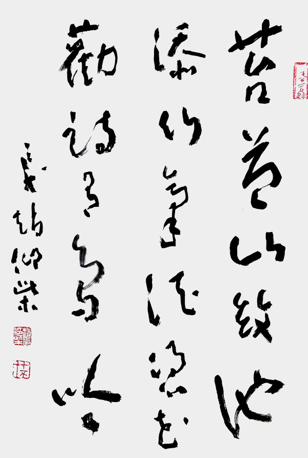 ���й�������������ø�ʢ��������������