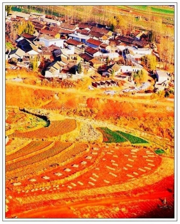 ���й�������������ø�ʢ�������Ҳܺ�