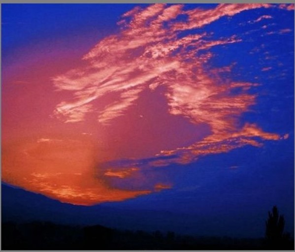 《国际中文语言日》本期推荐艺术家·王有德