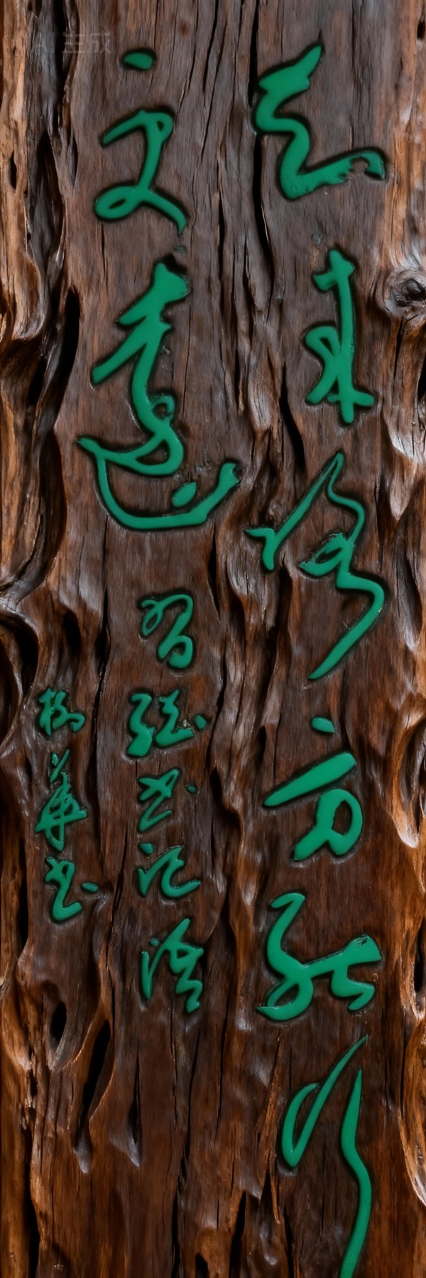 ���������������ա������Ƽ������ҡ�������