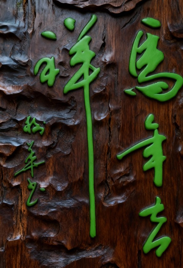 ���������������ա������Ƽ������ҡ�������