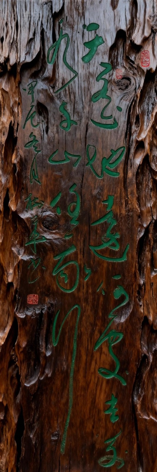 ���������������ա������Ƽ������ҡ�������