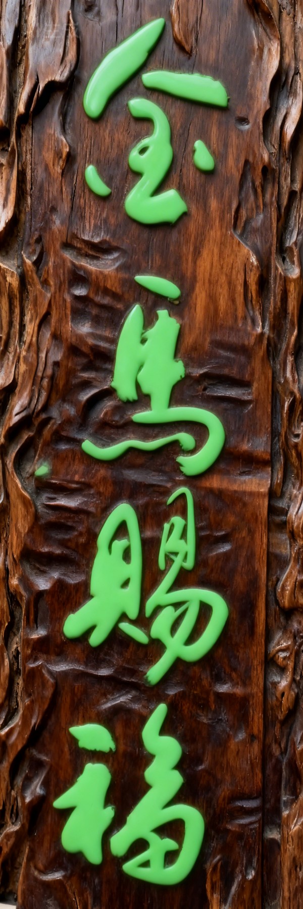 ���������������ա������Ƽ������ҡ�������