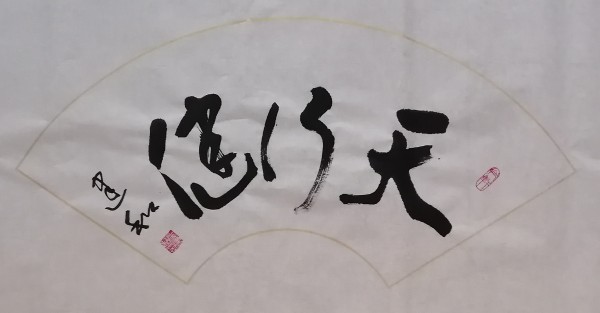 �����������ա����ڷ���������