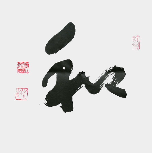 �����������ա����ڷ���������