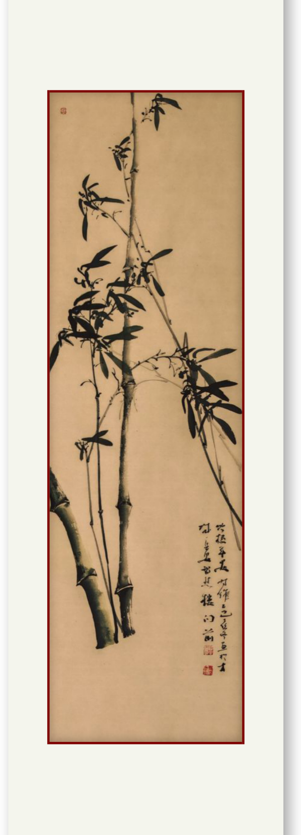 《讲好新春故事·传递文化声音》新春文化代表人物·薛向前