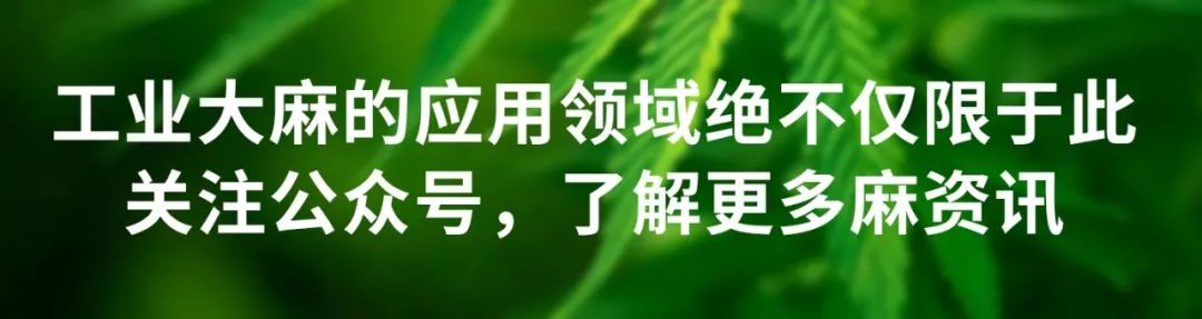 中国职业博击战队赛云南喜麻麻格斗时刻