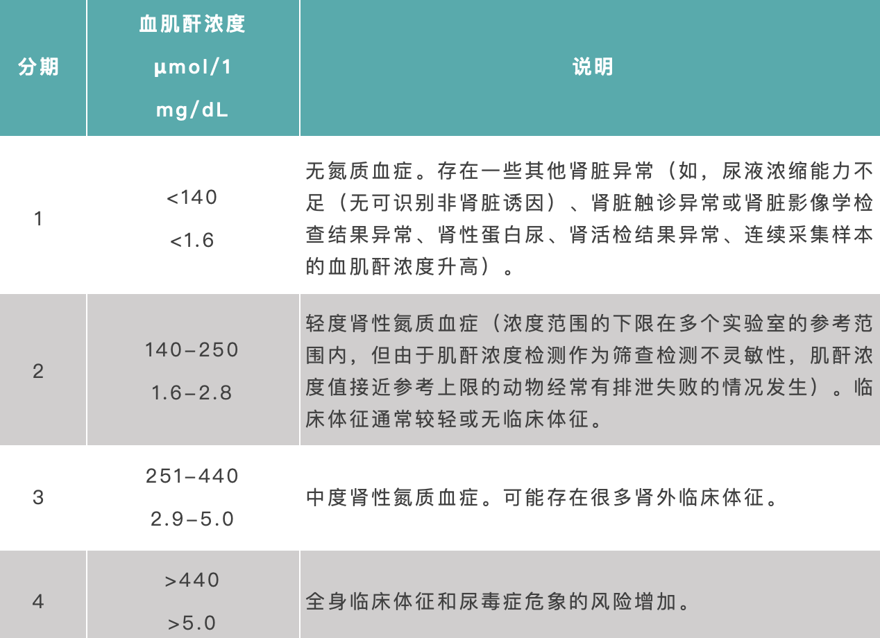 围观 干细胞技术攻克猫咪头号杀-慢性肾病！