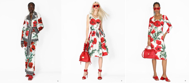 跟随Dolce&Gabbana 2023春夏女装系列一起探秘瑰丽花园