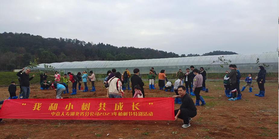 “我和小树共成长”&nbsp; 中意人寿湖北省分公司开展公益植树活动