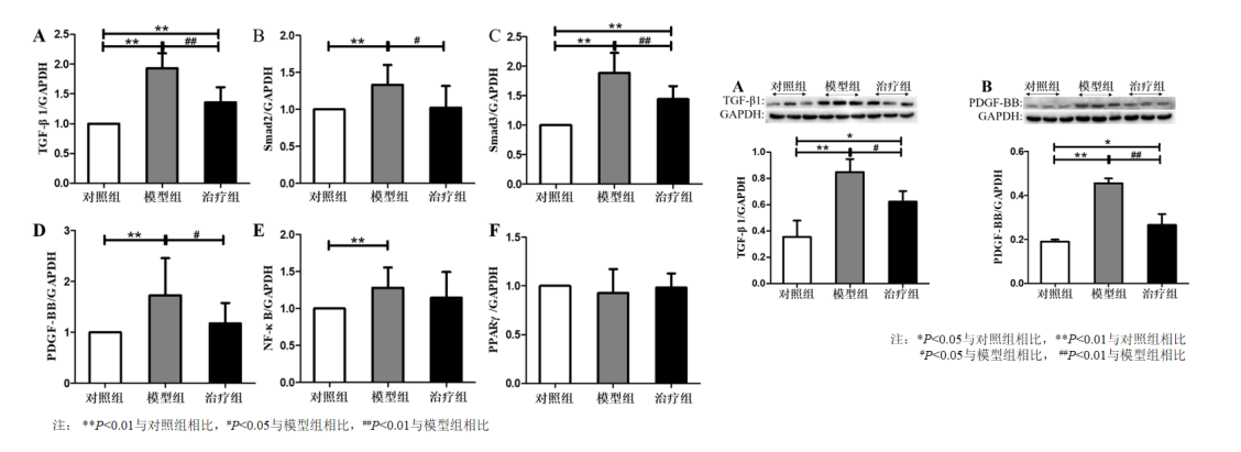 强肝胶囊对CCl4诱导的肝纤维化大鼠肝组织TGF-β1和PDGF-BB的影响