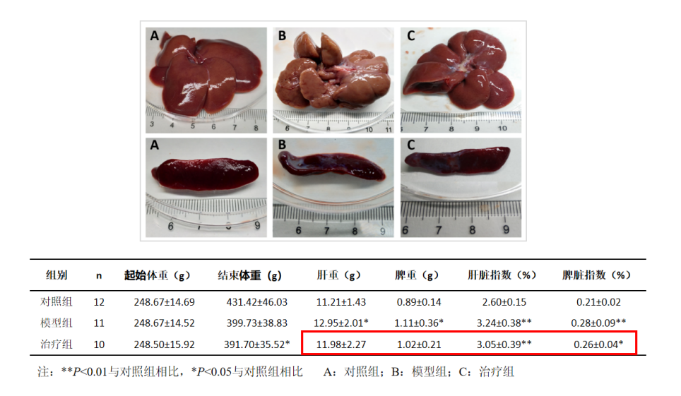 强肝胶囊对CCl4诱导的肝纤维化大鼠肝组织TGF-β1和PDGF-BB的影响