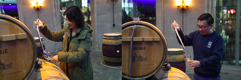清华大学名校学子走进龙谕酒庄：探索葡萄酒文化的学术之旅