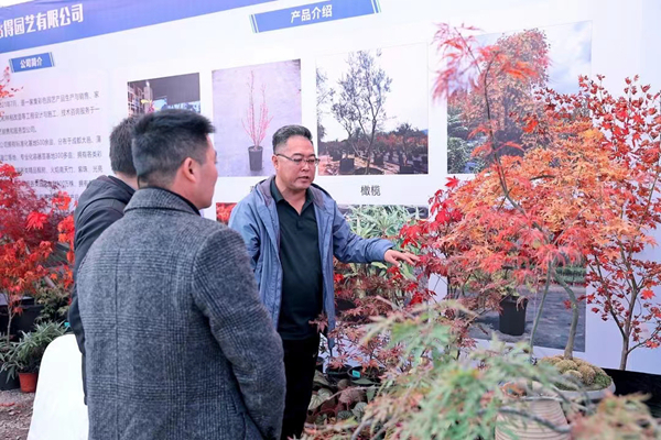 2023年成都秋季苗木供需对接会在温江举行