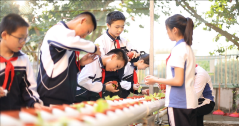 深圳市笋岗中学更名为罗实学校，2024年劳动教育再创佳绩