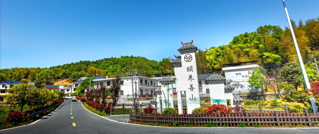 善山村