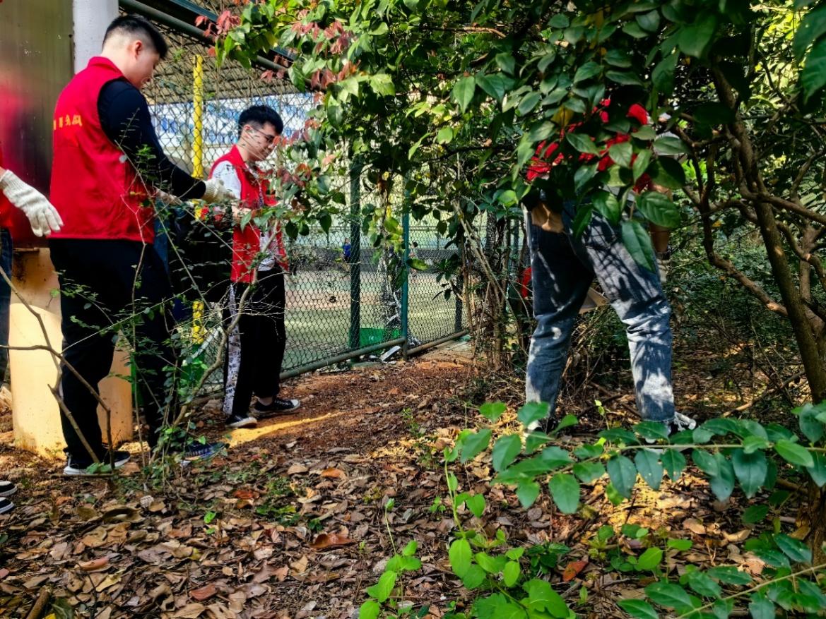 点赞！青年“志愿红”