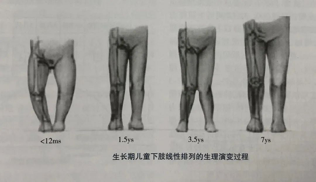 专为3-12岁儿童设计的科学洞洞鞋，妈妈太省心