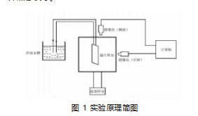 冠军国际网(中国游)官方网站