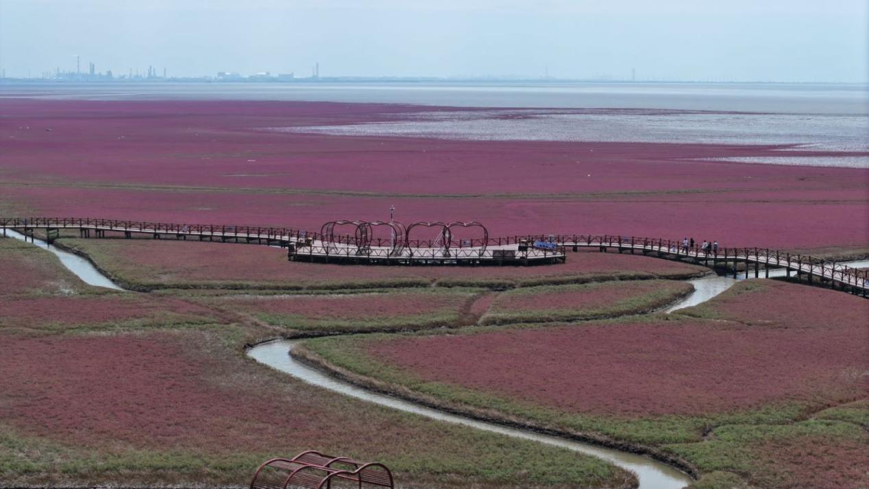 沿中国最北海岸线，聆听湿地之声音乐盛