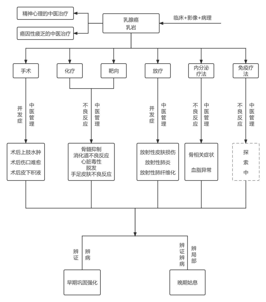 乳腺癌诊疗现状及西黄胶囊用药推荐