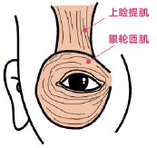 左眼跳财，右眼跳灾？要相信科学！-热点健康网